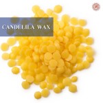 Candelila Wax small-image